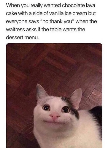 Dessert Cat
