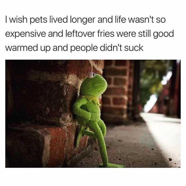 Kermit Wishes