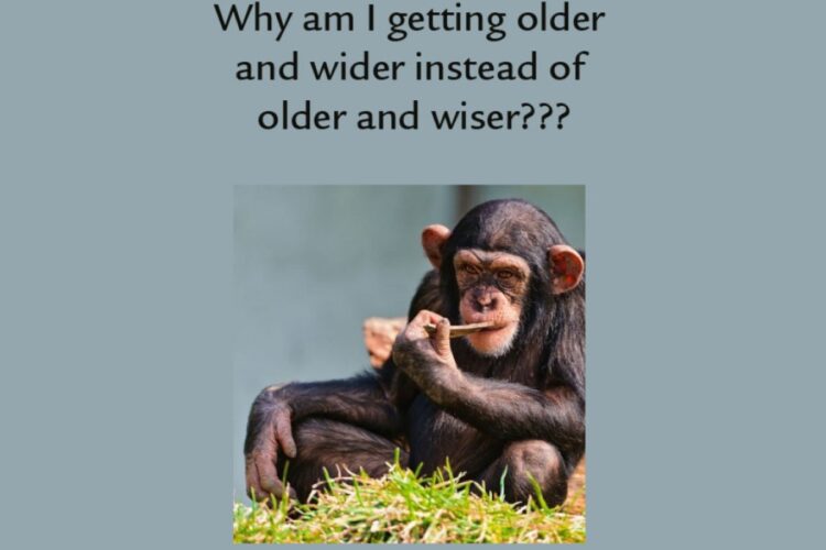 Older Wider Older Wiser monkey image