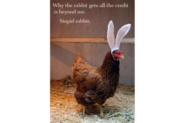 Stupid Easter Bunny funny image of hen with rabbit ears