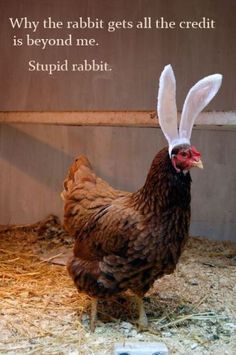 Stupid Easter Bunny image