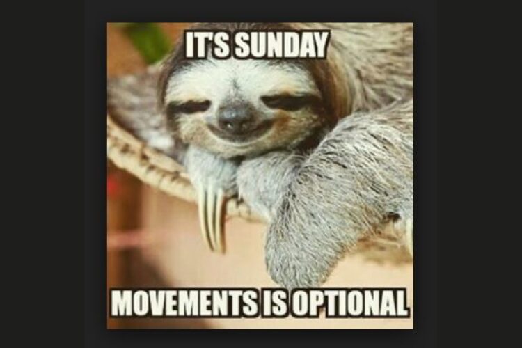 Funny Sunday Sloth image