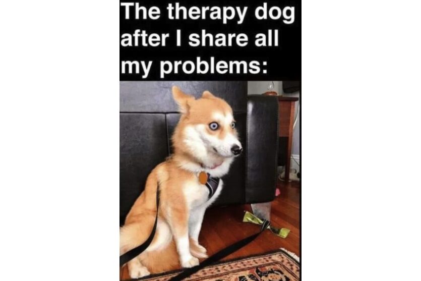 Therapy Dog Problems funny image