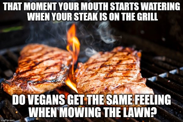 Grass Fed Vegan Steaks