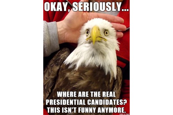 Where are the Real Presidential Candidates image