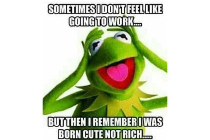 I was born Cute Not Rich so off to work I go Kermit meme