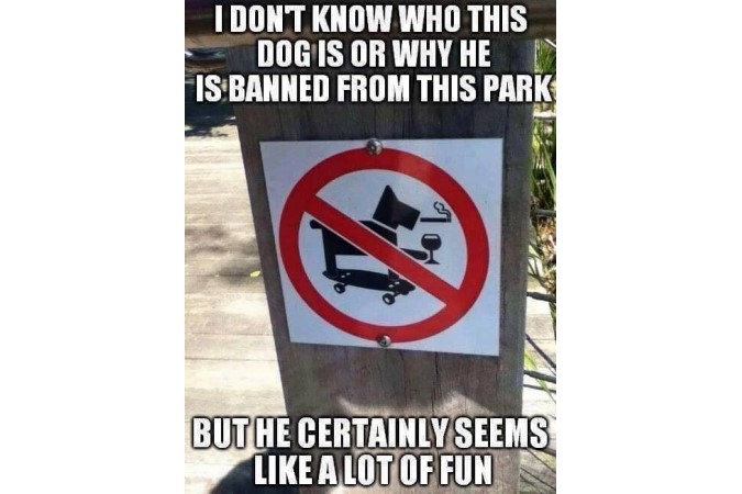funny park sign pretty cool dog