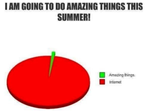 Amazing things summer pie chart meme