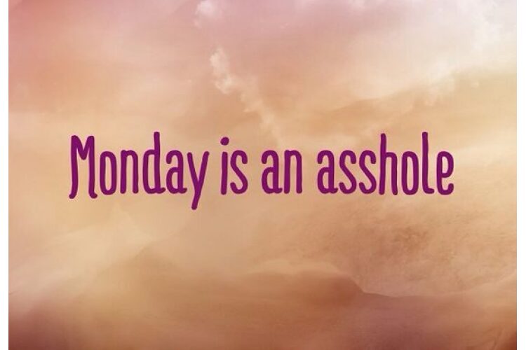 Monday is an A-hole funny Monday image