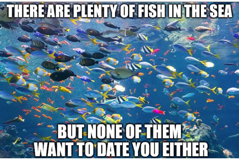 Plenty of fish funny image