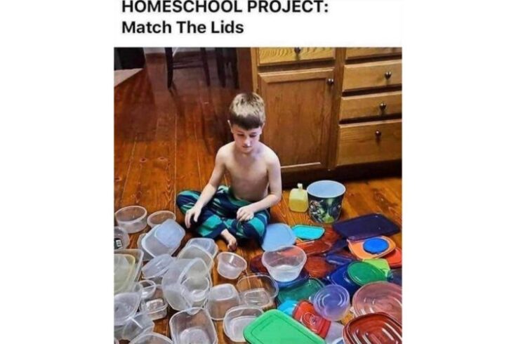 Home school project