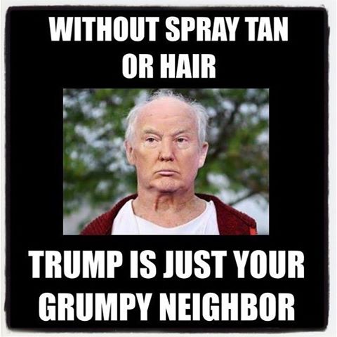 Grumpy Neighbor Trump