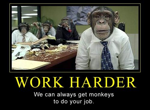 work harder hire monkeys work meme image