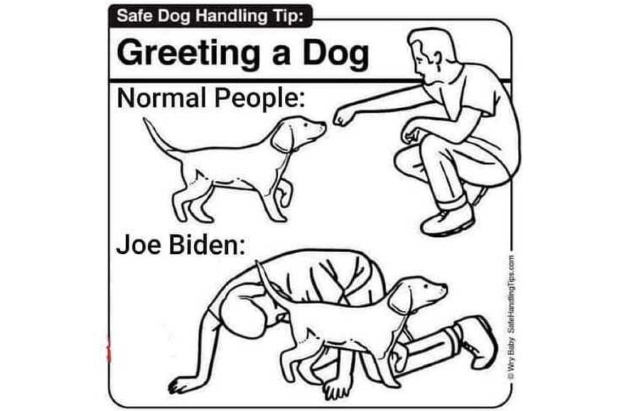 Biden Greeting A Dog image