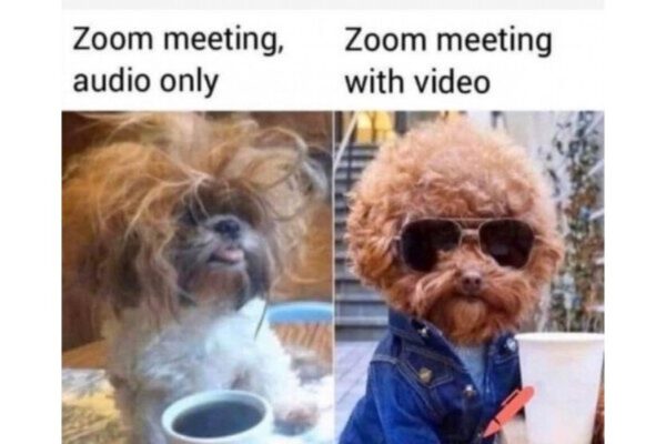 Zoom Meeting Grooming