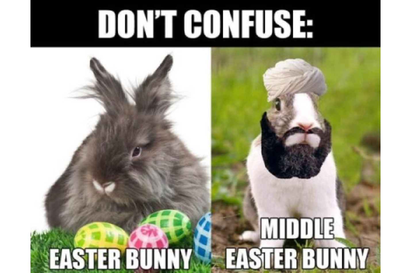 Easter Bunny vs Middle Easter Bunny image