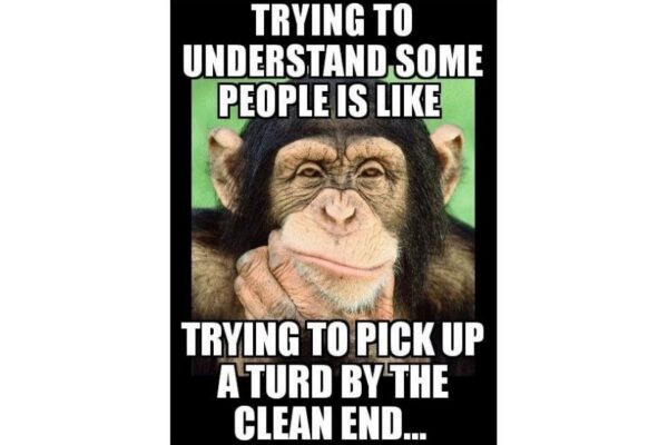 Try to Understand People monkey meme