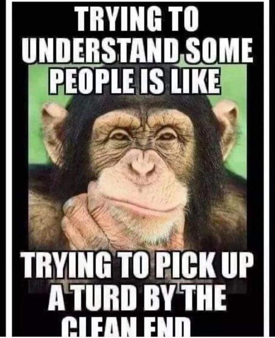 Try to Understand People monkey meme