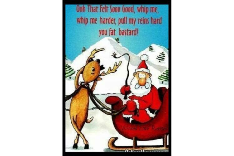 Whip it santa funny reindeer image