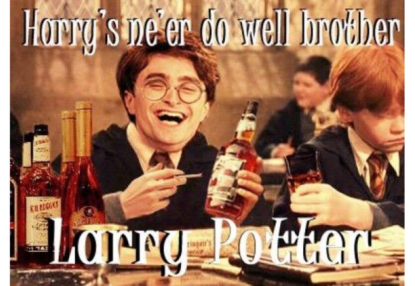 Funny Harry potter image larry potter