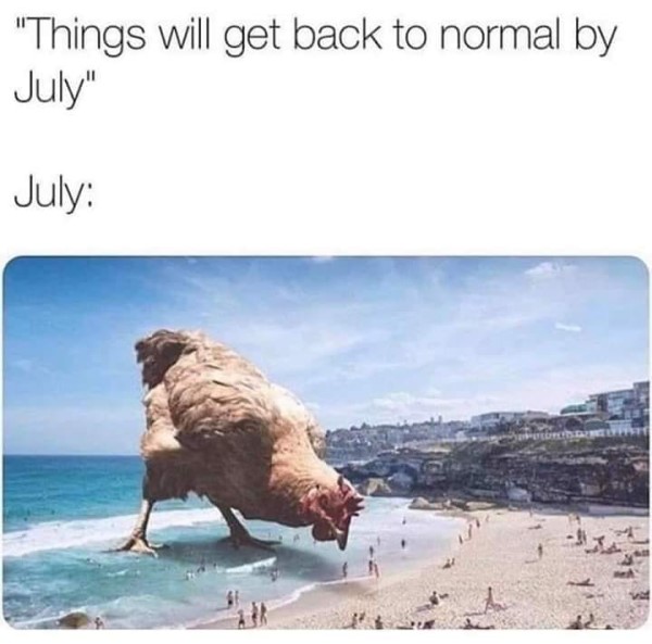 Giant chicken normal by july funny image