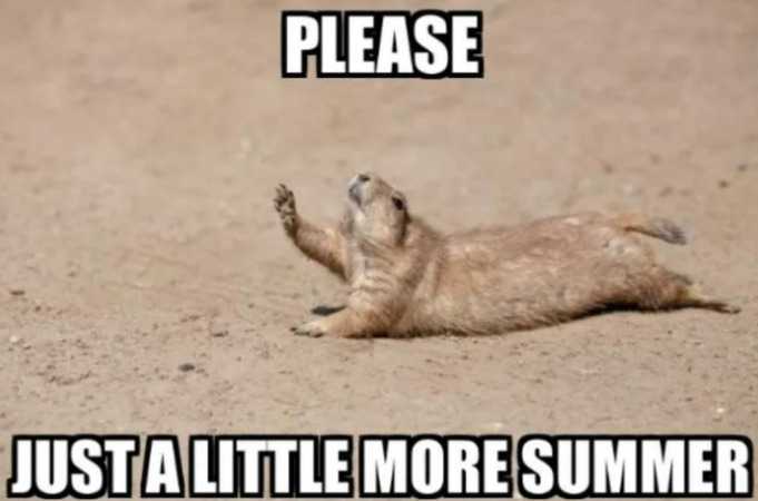 summer's last gasp squirrel funny labor day meme