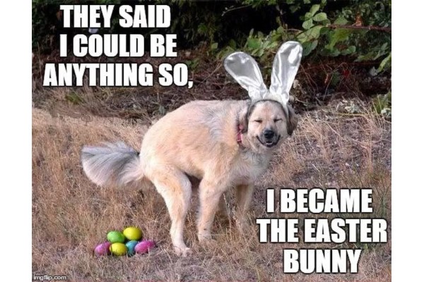The Easter Dunny image