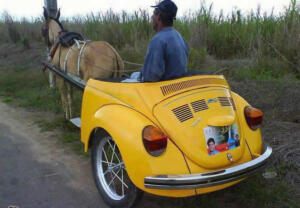 Funny redneck horsepower image horse pulling the rear of a Bug chariot style