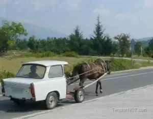 Funny redneck horsepower image horse pulling the rear of a car chariot style