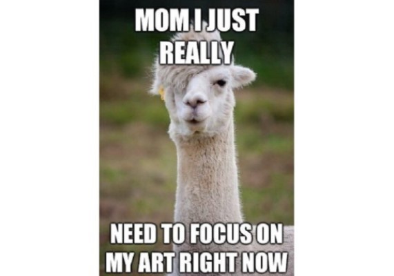 Emo Llama funny image