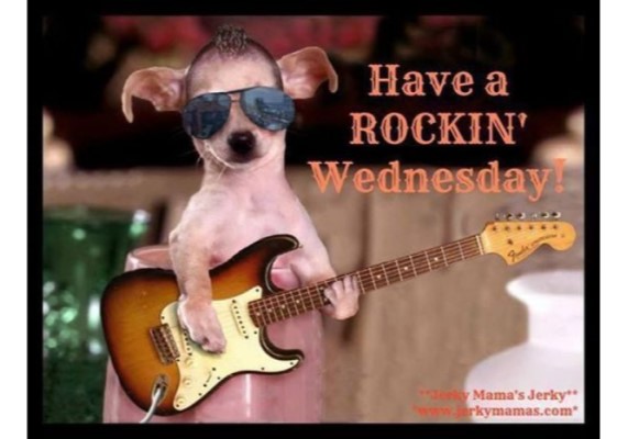 Funny cute have a Rockin' Wednesday image