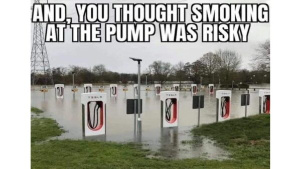 Tesla Charging Danger - chargers in water image