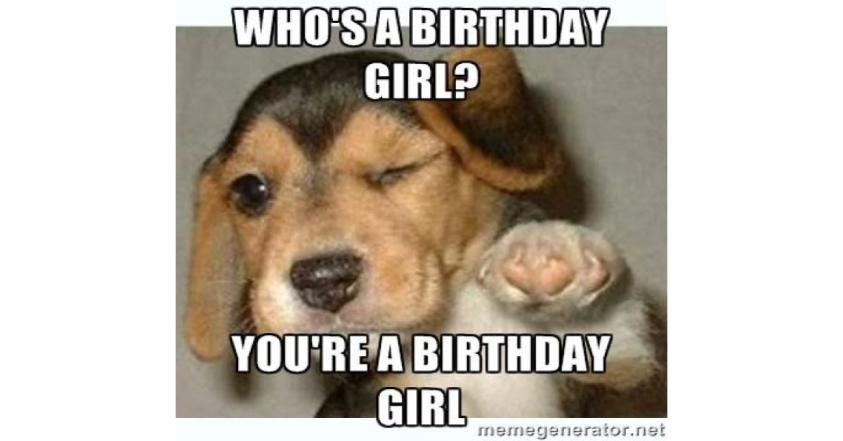 Birthday Girl meme Featuring Dog image