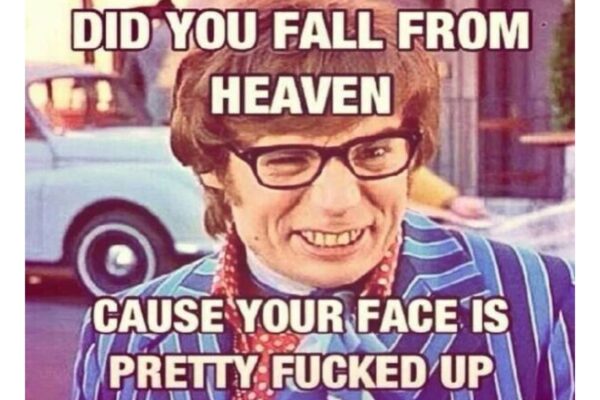 Did you fall from heaven funny pick up line image