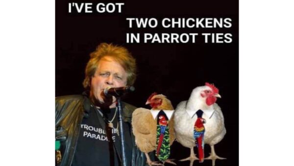 two chickens in parrot ties funny misheard lyrics image