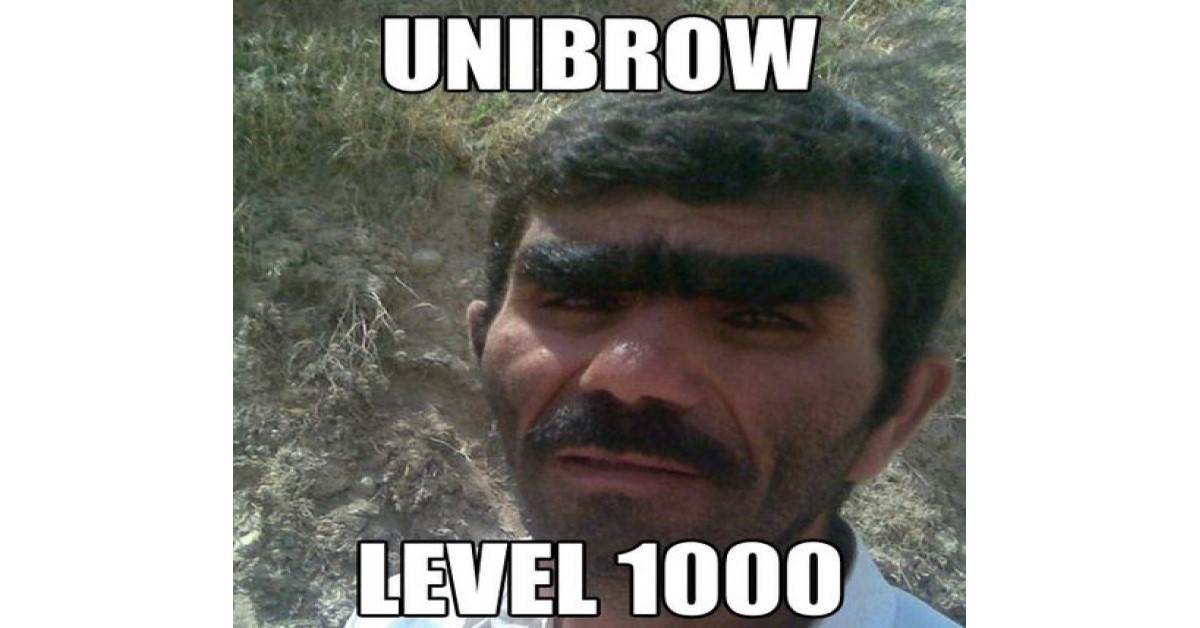 funny unibrow image