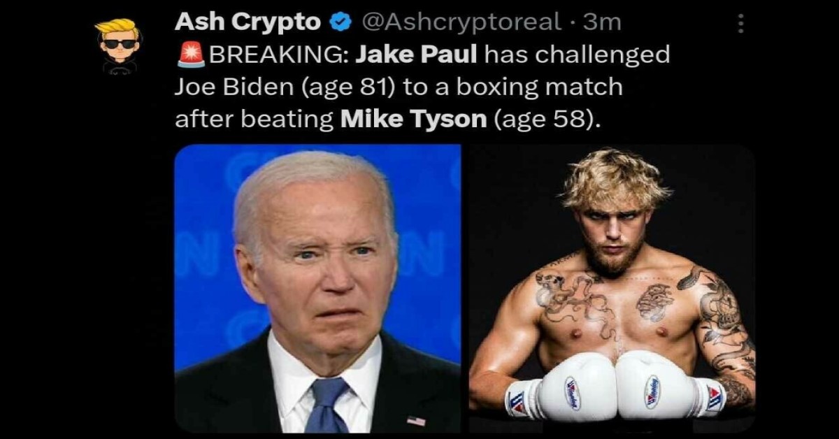 Biden is next jake paul fight image