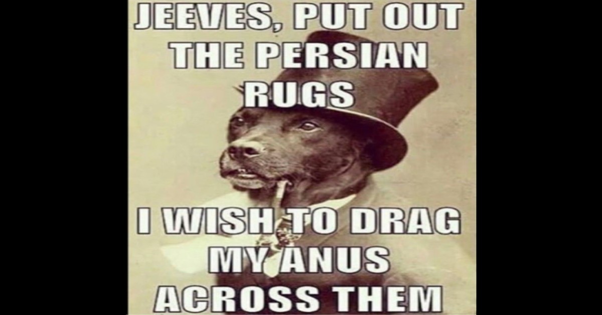 funny god asking for the persian rugs so he can drag his anus across them image