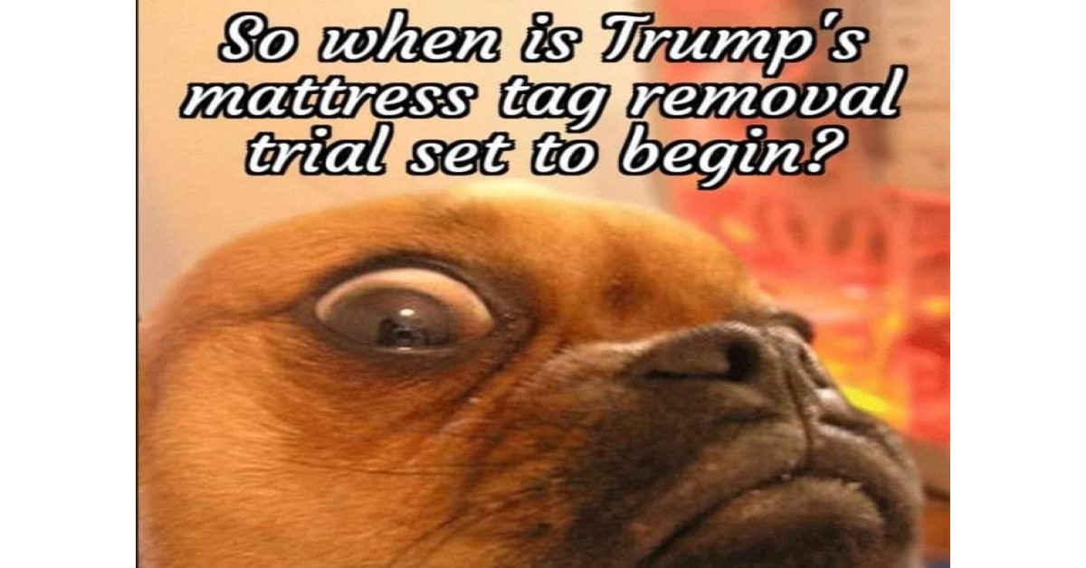 funny animal image that is political says so when is the trump mattress tag trial set to begin?