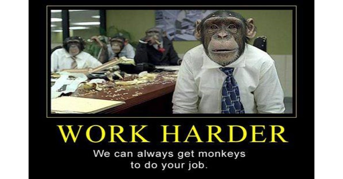 work harder hire monkeys work meme image