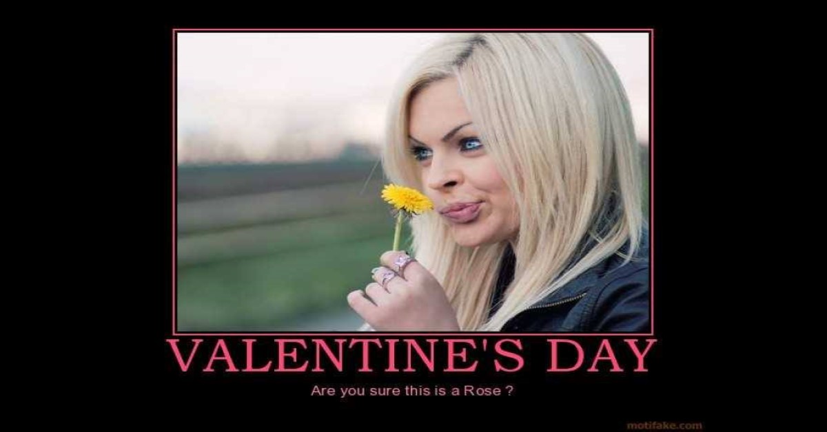 funny blonde valentines image does she know it's not a rose?