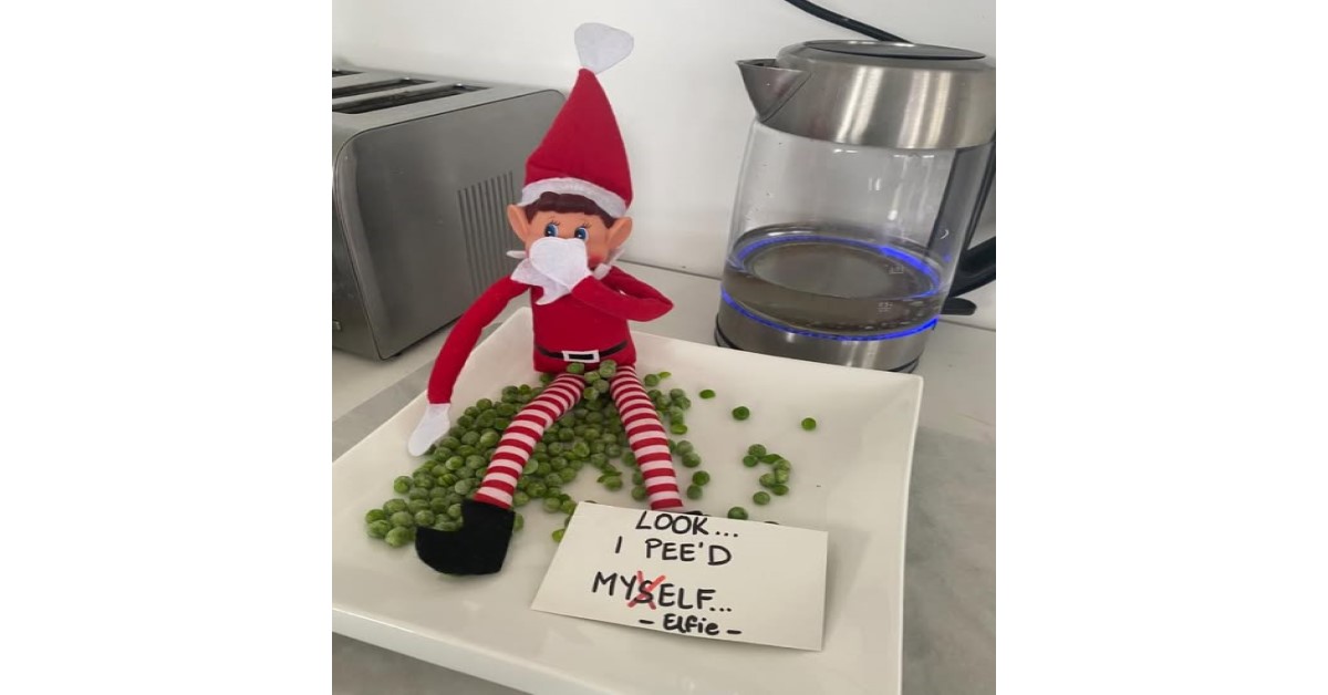 peed my elf funny elf on a shelf image