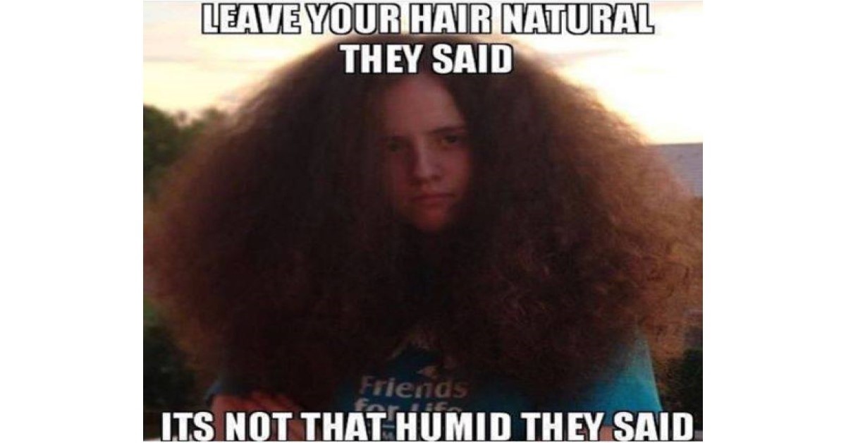 funny humidity hair image - it will be fun they said